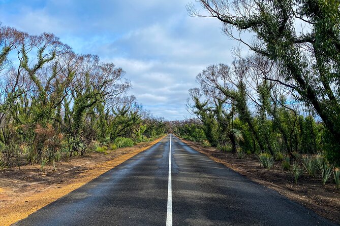 2 day Ultimate Kangaroo Island with return ferry - Overnight on KI: accommodation is included, and that changes your pacing