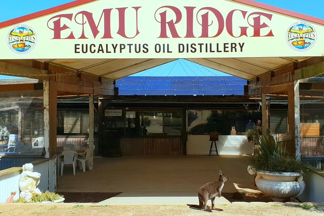 2 day Ultimate Kangaroo Island with return ferry - Emu Ridge Eucalyptus distillery: lunch plus an oil distillery tour