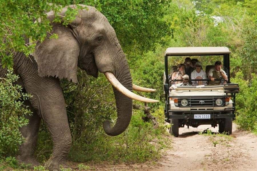 3 DAYS, 2 NIGHTS SAFARI FROM ZANZIBAR TO MIKUMI BY FERRY. - Why this safari starts with a ferry, not an airport