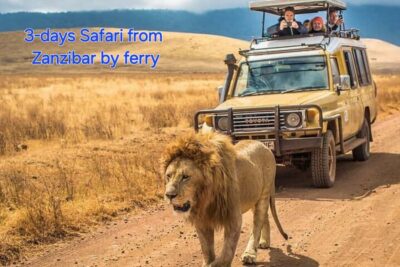 3 DAYS, 2 NIGHTS SAFARI FROM ZANZIBAR TO MIKUMI BY FERRY. - The travel day: Zanzibar to Morogoro and into Mikumi