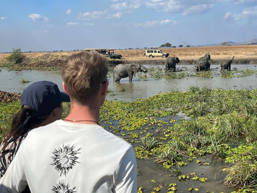3 DAYS, 2 NIGHTS SAFARI FROM ZANZIBAR TO MIKUMI BY FERRY. - Mikumi National Park: what a full game drive feels like