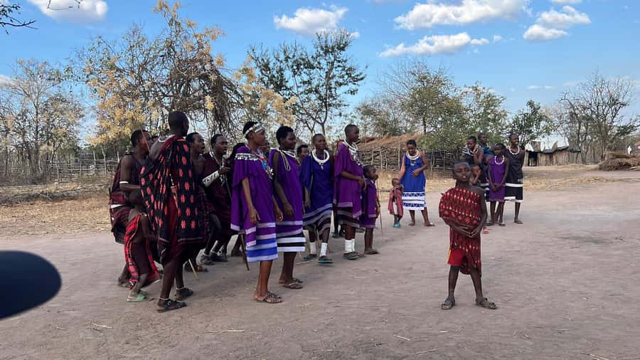 3 DAYS, 2 NIGHTS SAFARI FROM ZANZIBAR TO MIKUMI BY FERRY. - Where you stay and how meals fit the plan