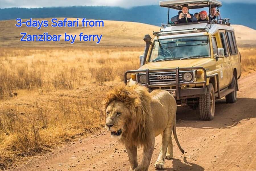 3 DAYS, 2 NIGHTS SAFARI FROM ZANZIBAR TO MIKUMI BY FERRY. - The travel day: Zanzibar to Morogoro and into Mikumi