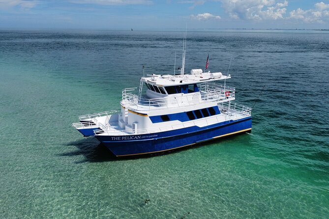 4-Hour St. Pete Pier to Egmont Key Experience by Ferry - Snorkeling gear and wildlife: what you can count on vs. what’s luck