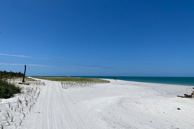 4-Hour St. Pete Pier to Egmont Key Experience by Ferry - Onboard comfort: bar service, seating, and staff you’ll remember