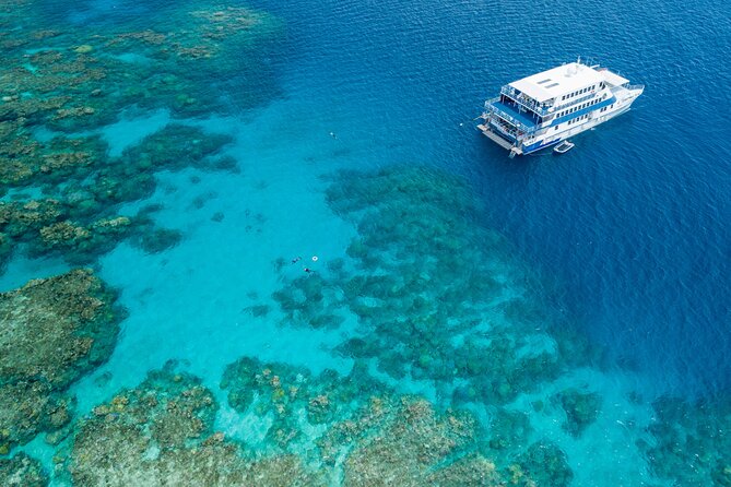 Afternoon Fitzroy Island Escape – Return Ferry Included - Nudey Beach coral-sand and how to make the snorkeling moment count