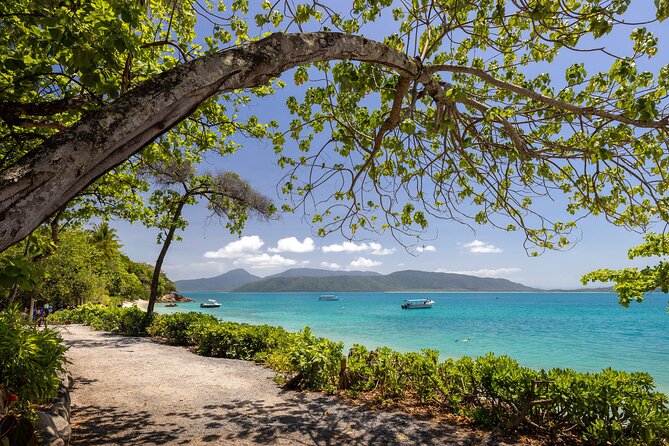 Afternoon Fitzroy Island Escape – Return Ferry Included - Food and drinks: plan for the fact that your ticket is not a meal