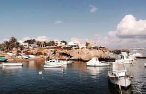 Alicante/Torrevieja: Excursion to Tabarca by ferry, Santa Pola, and Laguna Rosa - Guides and storytelling: why the day feels smoother