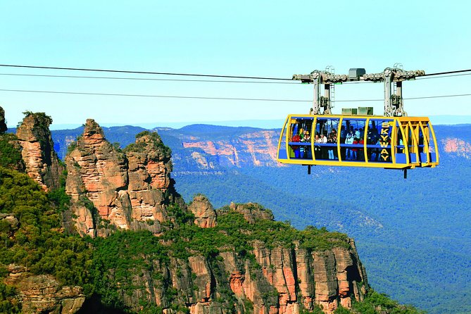 All Inclusive Blue Mountain,Scenic World,Lunch,Koalas,ferry - Key Highlights That Make This Day Worth It