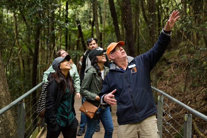 All Inclusive Blue Mountain,Scenic World,Lunch,Koalas,ferry - Price and Value: What $204.41 Buys You in One Day