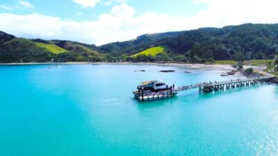 Auckland: Man O' War Vineyard Ferry (Waiheke Island) - Timing That Actually Works: Picking the Right Departure