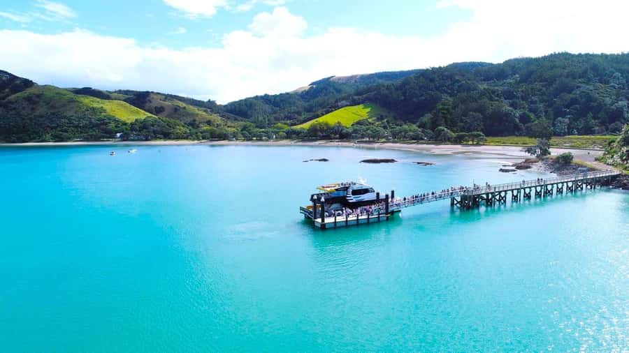 Auckland: Man O' War Vineyard Ferry (Waiheke Island) - Timing That Actually Works: Picking the Right Departure