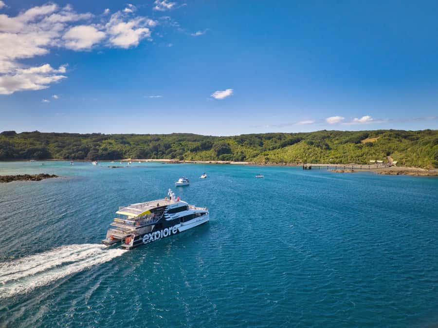 Auckland: Tiritiri Matangi Island Ferry - Hauraki Gulf Ferry: The ride is part of the experience
