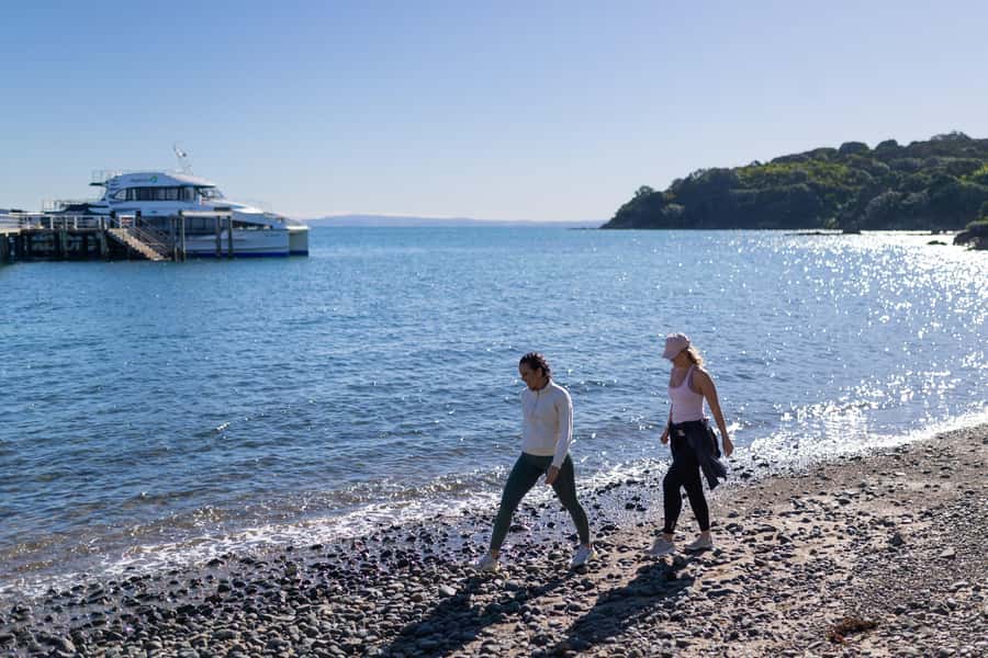 Auckland: Tiritiri Matangi Island Ferry - Stepping onto Tiritiri Matangi: A pest-free world for birds