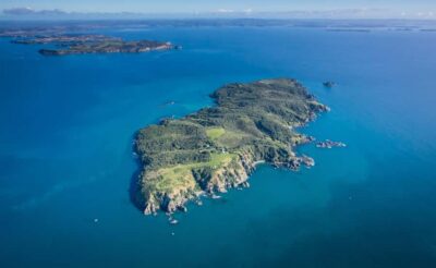 Auckland: Tiritiri Matangi Island Ferry - Timing from Auckland vs Gulf Harbour (and why it matters)