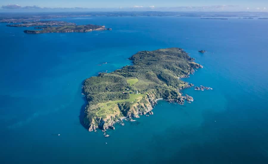 Auckland: Tiritiri Matangi Island Ferry - Timing from Auckland vs Gulf Harbour (and why it matters)