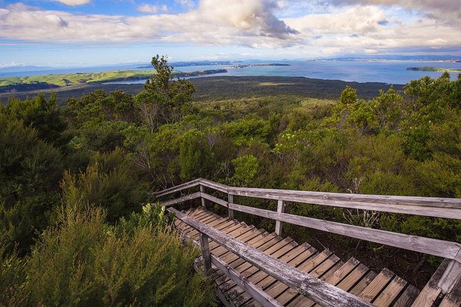 Auckland to Rangitoto Island Ferry - Rangitoto’s cone in the Hauraki Gulf: what you’re really going for