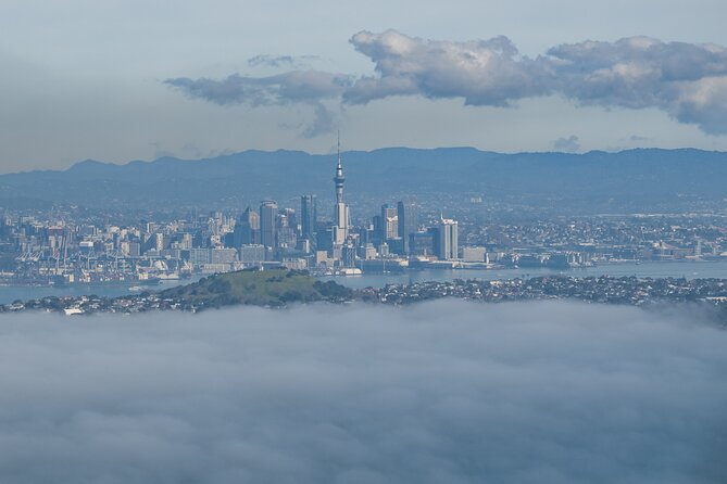 Auckland to Rangitoto Island Ferry - On the island: how the tractor-pulled tram improves your volcano time