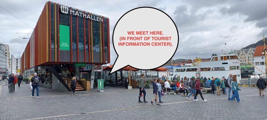 Bergen: Sightseeing Walking Tour with Ferry Ride - Ferry ride: the best part for seeing Bergen like a seafaring city