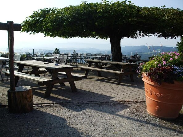 Best of Zurich Tour with Felsenegg Cable Car and Ferry Ride - A Half-Day Zurich Plan That Keeps You Moving Without Exhaustion