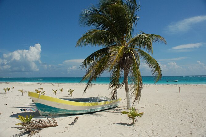 Bimini or Grand Bahama Island by Ferry - Onboard comfort: what the ferry gives you (and what to bring)