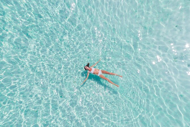 Bimini or Grand Bahama Island by Ferry - Where the day can get bumpy: check-in, immigration lines, and wait times