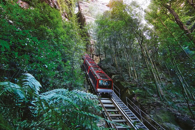 Blue Mountains Adventure w Scenic World, Zoo, Koala Photo & Ferry - Key highlights worth caring about