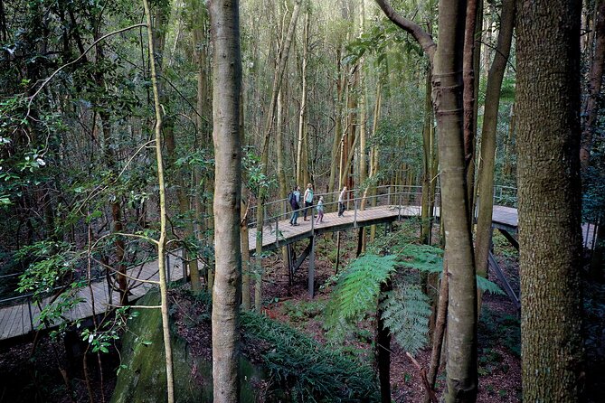 Blue Mountains Adventure w Scenic World, Zoo, Koala Photo & Ferry - What this tour gets you (and why it feels like a good value)