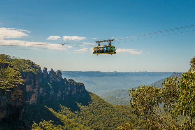 Blue Mountains Adventure w Scenic World, Zoo, Koala Photo & Ferry - Sydney Zoo: kangaroos, the koala moment, and how to handle heat