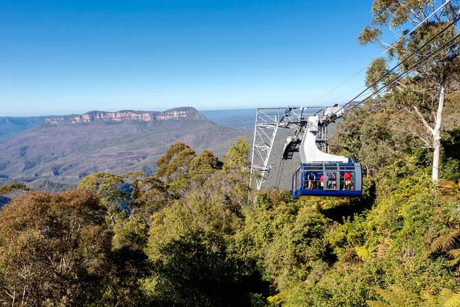 Blue Mountains Adventure w Scenic World, Zoo, Koala Photo & Ferry - The ferry finish: Harbour Bridge to Circular Quay