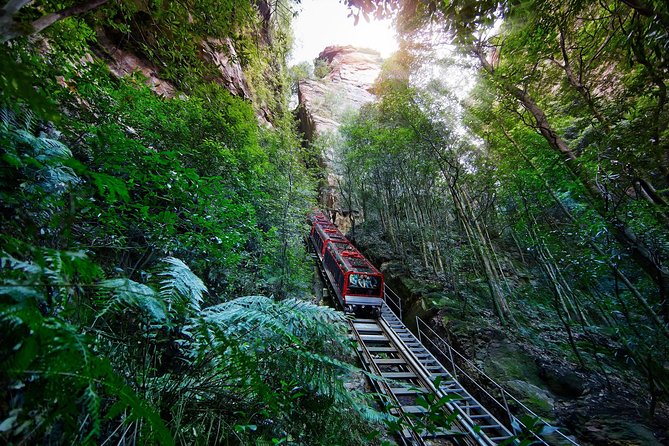 Blue Mountains Small-Group Tour from Sydney with Scenic World,Sydney Zoo & Ferry - Key things to love about this tour