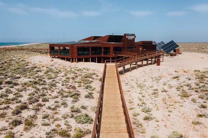 Boat trip from Faro to Ilha Deserta by Ferry - What’s included (and what you’ll need to bring)