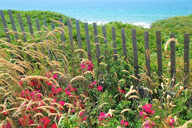 Boston to Martha's Vineyard Day Trip with Optional Island Tour - Oak Bluffs time: MVCMA gingerbread cottages and classic island vibes