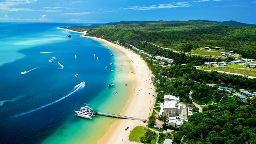 Brisbane: Moreton Island Return Ferry & Adventure Day Pass - Snorkeling equipment hire and shipwreck time: how you actually see turtles and dolphins