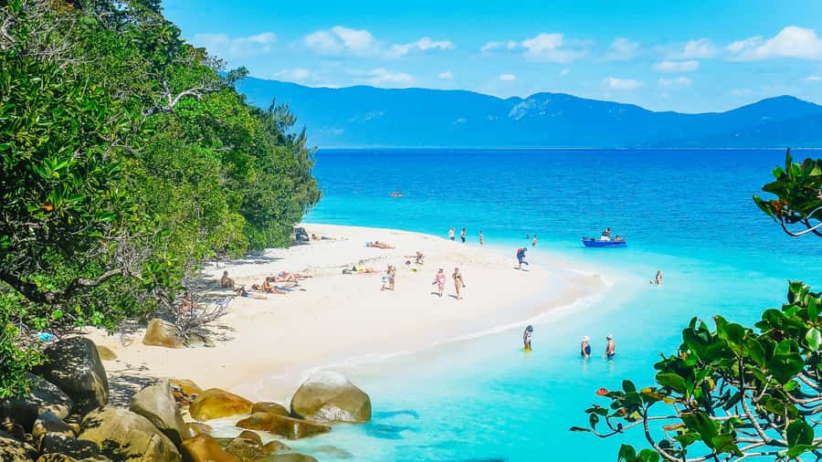 Cairns: Fitzroy Island Ferry w/ Snorkel, Lunch, Tour Options - Check-in and departure: where most day trips win or lose