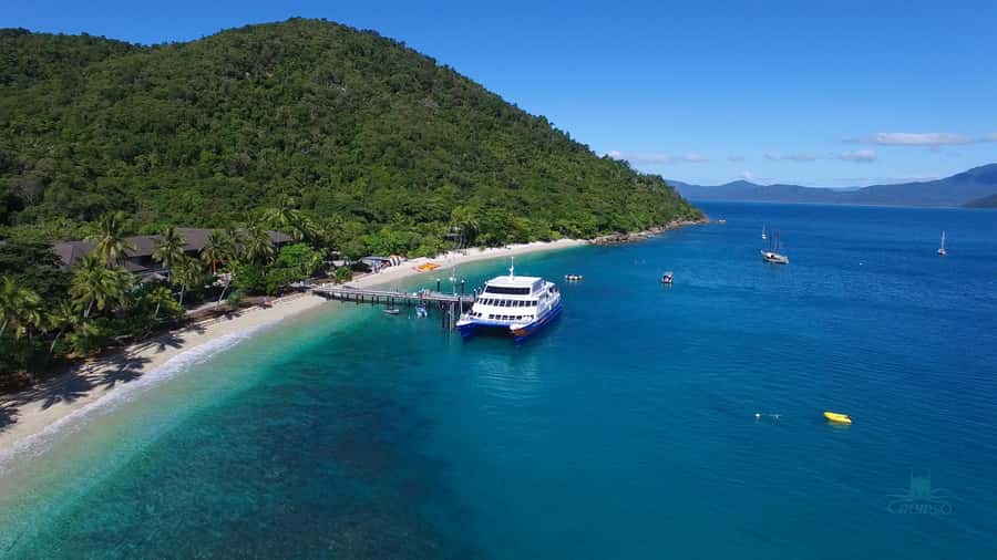 Cairns: Fitzroy Island Ferry with Optional Lunch & Activity - What to bring (and what will make the walk part easier)