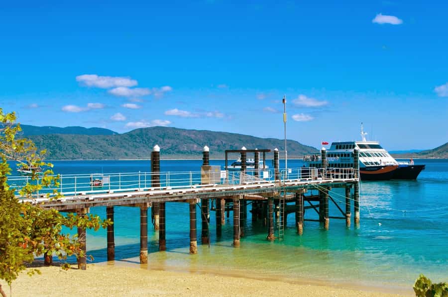 Cairns: Fitzroy Island Ferry with Optional Lunch & Activity - Snorkeling off the beach: when you want reef time without the tour pressure