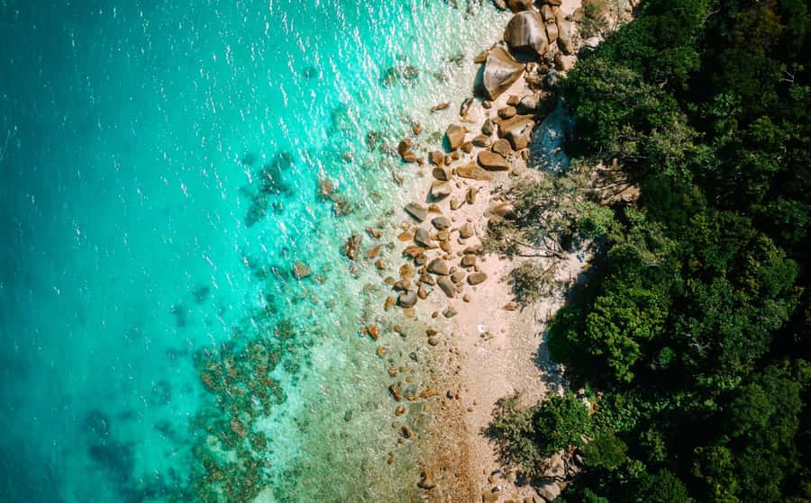 Cairns: Fitzroy Island Ferry with Optional Lunch & Activity - The ferry ride: quick, clear, and more relaxing than you expect