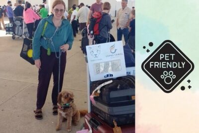 Cancun & Airport Private Transfer-Cancun, Ferry & Puerto Morelos - Where They Meet You: Terminals, Name Signs, and Easy Arrival