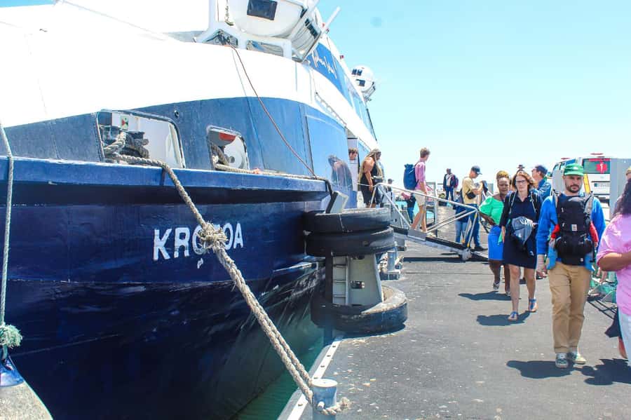 Cape Town: Robben Island ferry ticket plus Guided Tour - Key Points to Know Before You Go