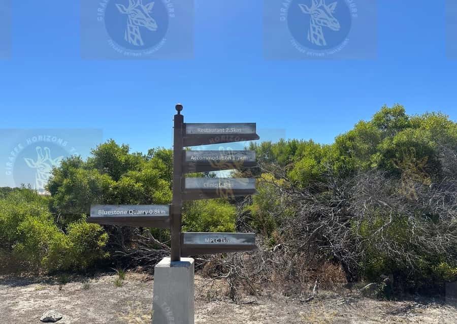 Cape Town: Robben Island Ferry with Prison Ticket and Tour - Guided Walk, Exhibits, and the Island Moment for Photos and Reflection