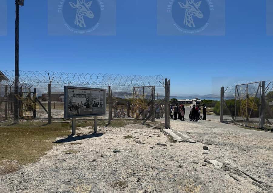 Cape Town: Robben Island Ferry with Prison Ticket and Tour - Price and Value: Why This Tour Costs $90 (and What You Get for It)