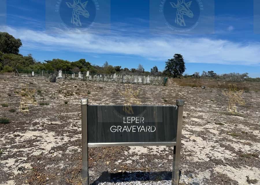 Cape Town: Robben Island Ferry with Prison Ticket and Tour - Island Landmarks Before the Prison: Lime Quarry and Robert Sobukwe’s House