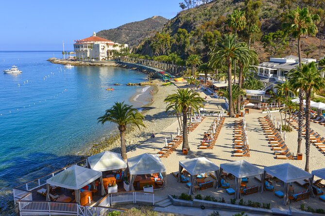 Catalina Express: Avalon to San Pedro One-Way Ferry - Seasonal Schedules and Weather: How to Plan Around the Pacific