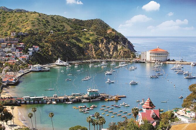 Catalina Express: Avalon to San Pedro One-Way Ferry - Who Should Book Catalina Express Avalon to San Pedro?