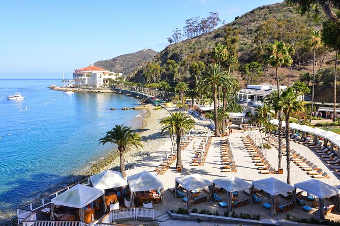Catalina Express: San Pedro to Avalon One-Way Ferry - Your Independent Time in Avalon: What to Do Once You’re Off the Boat