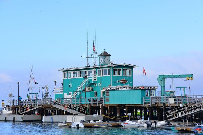 Catalina Express: San Pedro to Avalon One-Way Ferry - Planning Smart: Matching Your Schedule to Possible Stops