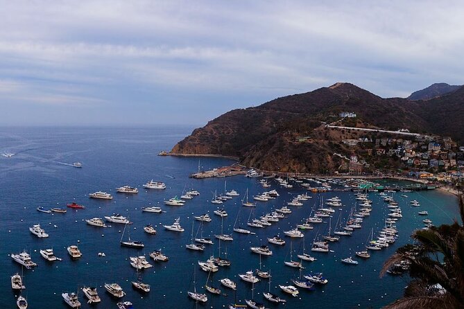 Catalina Island Ferry Avalon to Newport Beach - Key things to know before you go