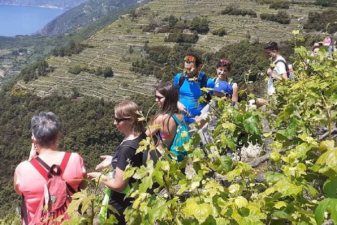 Cinque Terre by train and boat (no ferries in winter) - Monterosso al Mare: your longer break for food and classic Cinque Terre flavor
