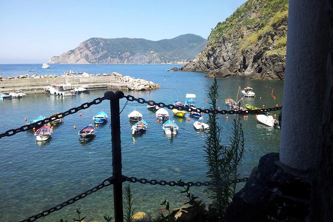 Cinque Terre Private Tour by Minivan and Ferry-Boat Shore excursion from Livorno - Monterosso al Mare: More Time for Lunch and Water
